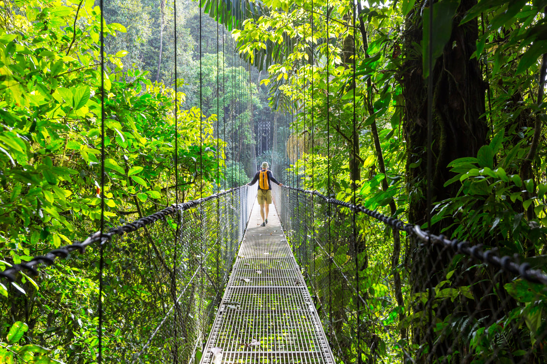 Man in jungle on bridge 